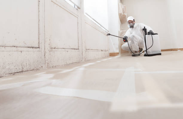 24/7 Emergency Basement Mold Remediation experts in Pottstown, PA