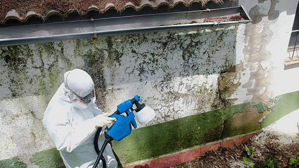 Top rated local Basement Mold Remediation specialists in Pottstown, PA